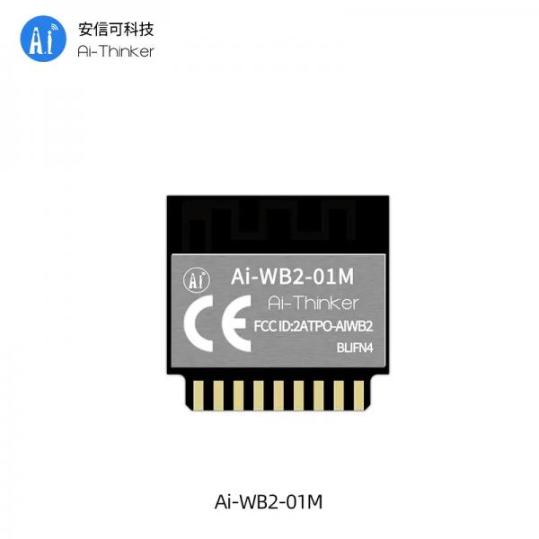 WiFi+BLE 투인원모듈 [Ai-WB2-01M]
