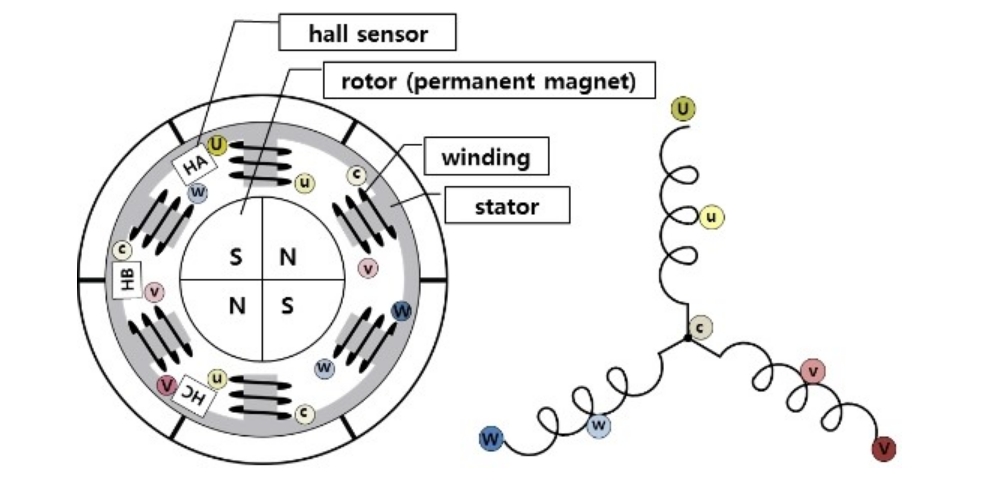 Bldc Motor