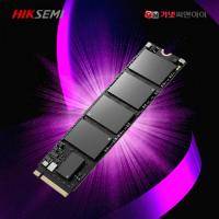 하이크세미 NVMe E3000 256GB